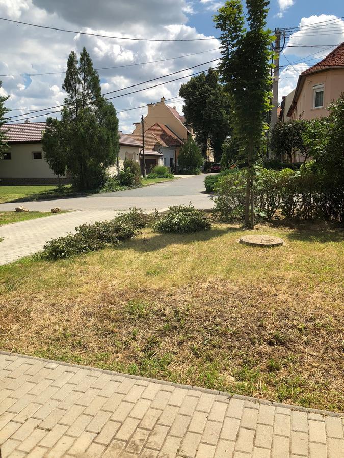 Family Residence Егер Екстериор снимка